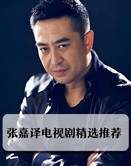 张嘉译电视剧